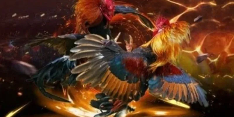 Thế Giới Đá Gà Trực Tiếp Casino Vô Cùng Ấn Tượng Của 789bet 4 Các lưu ý khi cược đá gà trực tiếp casino